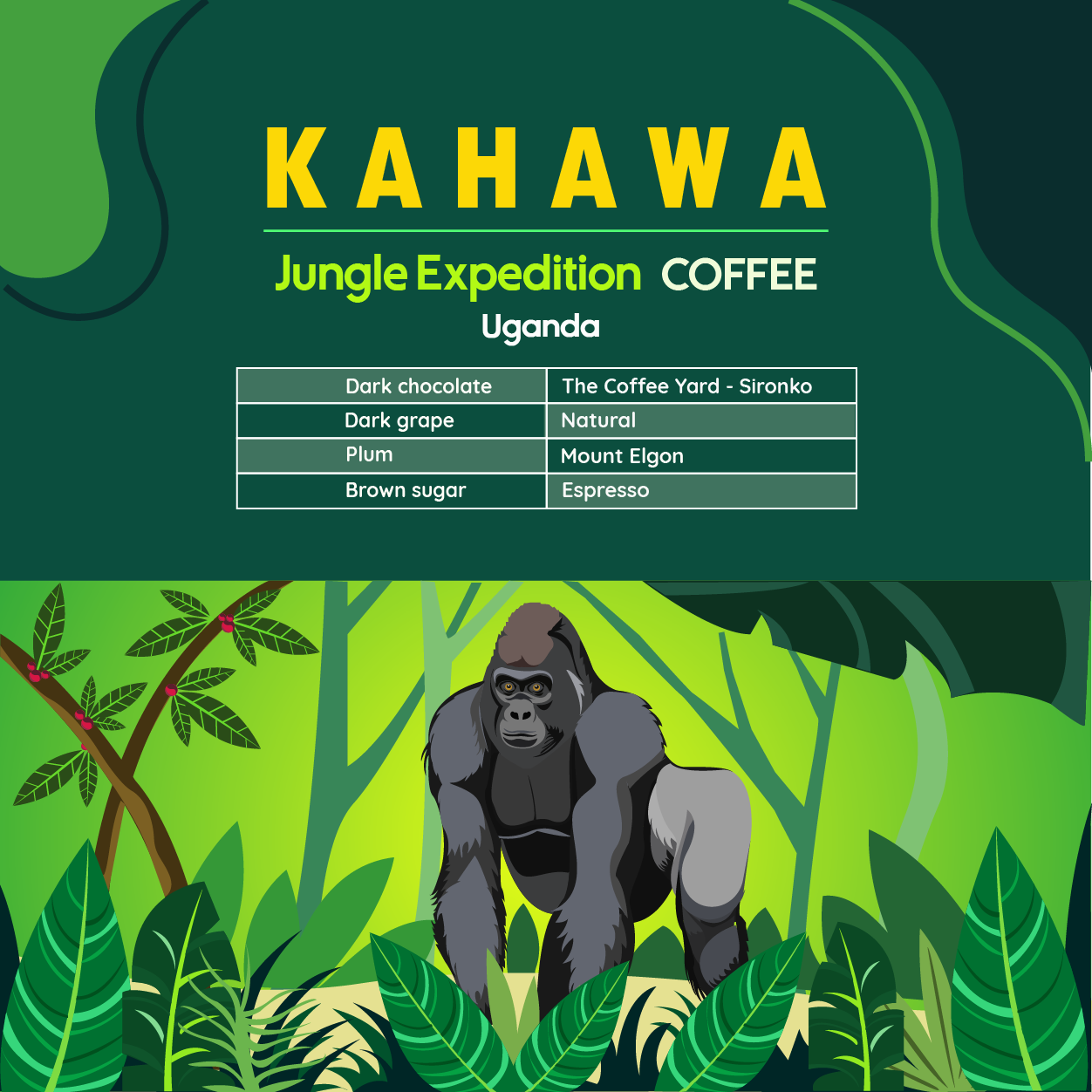 Jungle Expedition - Uganda